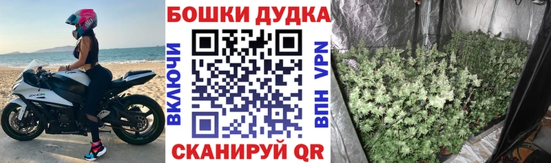 дарнет шоп  Боровск  Шишки марихуана индика 
